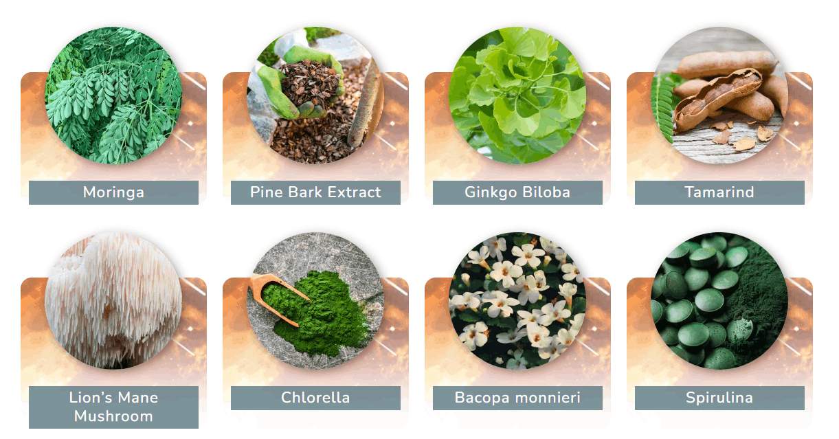 Plant based cognitive support ingredients inside NeuroPrime supplement
